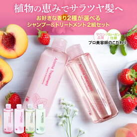 【2組セット割】アースハート 美容室専売 ヴィ―ガン アロマシャンプー＆トリートメント 2組セット (選べる2種類の香り) 各240ml サロン専売 EARTHEART ボタニカル【マスカット&グリーンアップルは在庫限りで販売終了】