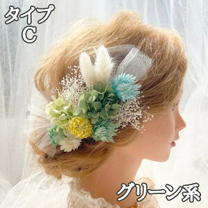 yz l  Ǝ  hCt[   sN    F a vU[uht[ wAANZT[ wbhhX uC_ EFfBO ԉ ܎O 