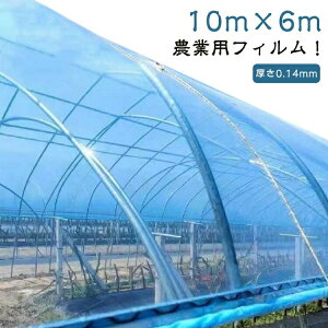 �_�Ɨp�t�B���� ����0.14mm �r�j�[���n�E�X �����t�B���� ����10m ��6m �g���l���t�B���� �_�Ɨp �t�B���� �ϋv ���� �K�[�f�j���O �ƒ�؉� �͔| ���|�p ���|�p�i �h�o