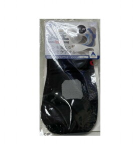 y䂤pPbgIőzt@Ce@(\bLO)@y25`27cmzۂܐ^Cv ubN/bh