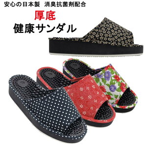 S̓{@LRۍܔz@T_@NT_ENXbpy؁zyIXXz