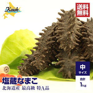 AiykCY Ȃ܂ 1kg zȂ܂ kCYȂ܂ TCYi10`14.5gj iv1kgj؍H Cl kCLR CQ S iۏ kCY VR i}R Ȃ܂ i}RCl 