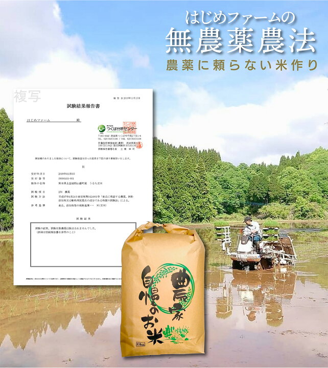 楽天市場】【令和7年産予約券】無農薬 玄米 30kg 新米 予約販売  