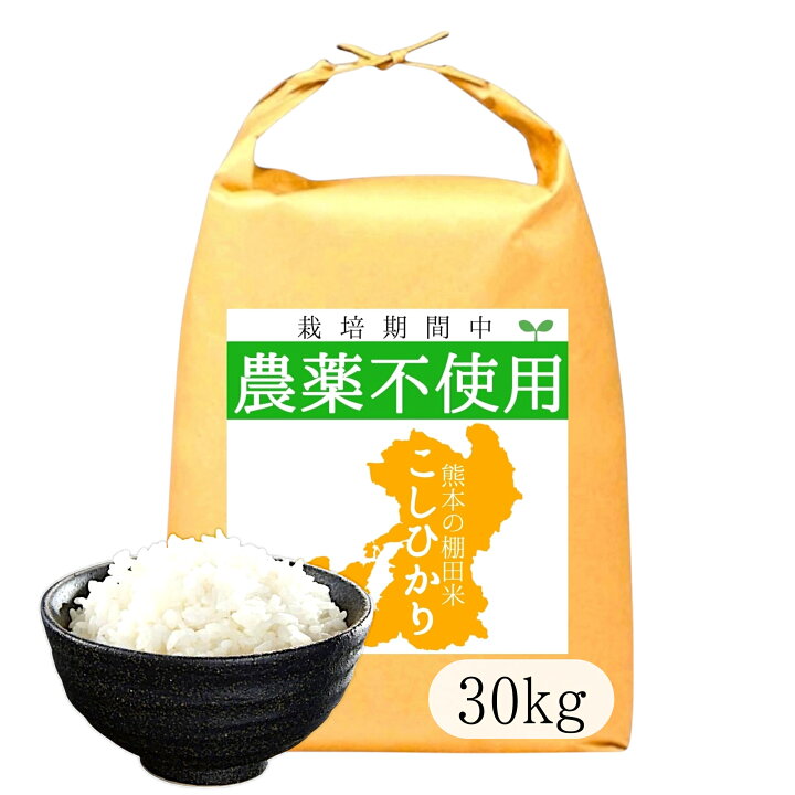 楽天市場】無農薬 白米 30kg 令和6年産 熊本県産 コシヒカリ  
