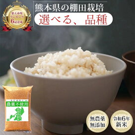 楽天市場】【令和7年産予約券】無農薬 玄米 30kg 新米 予約販売  