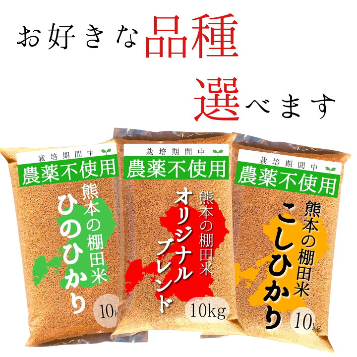楽天市場】無農薬 玄米 5kg 新米 ヒノヒカリ コシヒカリ オリジナル 