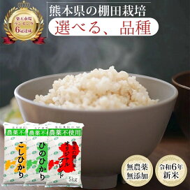 楽天市場】無農薬 玄米 2kg 5kg 10kg 20kg 30kg 令和6年産 ヒノヒカリ 