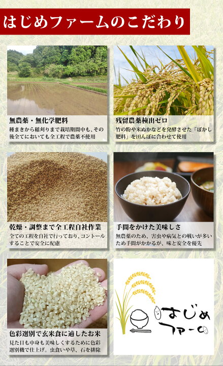 楽天市場】【先取りスーパーセール】無農薬 玄米 2kg 5kg 10kg 20kg  