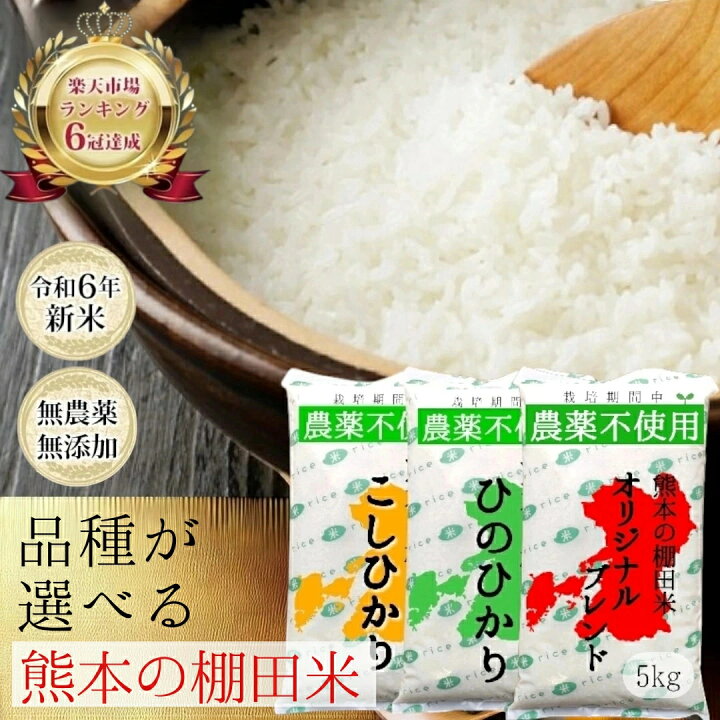 楽天市場】無農薬 白米 10kg 令和7年産 熊本県産 コシヒカリ 