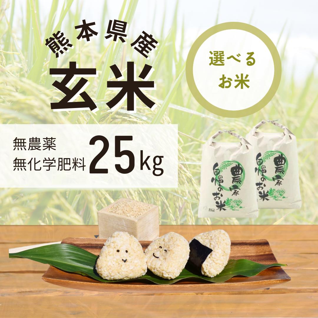 セール 無農薬 玄米 25kg 令和4年産 熊本県産 ヒノヒカリ ひのひかり