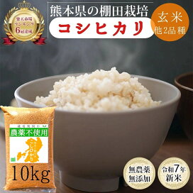 楽天市場】令和7年産 無農薬 玄米 5kg 10kg 30kg ヒノヒカリ 