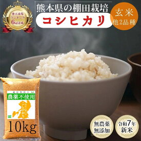 無農薬 玄米 10kg 新米 コシヒカリ ヒノヒカリ オリジナルブレンド 令和7年産 熊本県産 米 10キロ 九州産 熊本 お米 農薬不使用 オーガニック 有機 有機栽培 健康 お祝い 青玄 若玄米