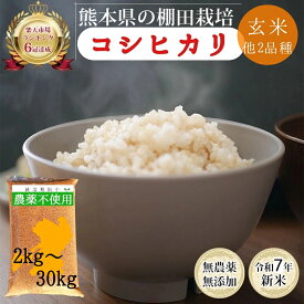 令和7年産 無農薬 玄米 5kg 10kg 30kg 熊本県産 コシヒカリ ヒノヒカリ オリジナルブレンド 青米 米 有機 新米 5キロ 無洗米 九州産 熊本 お米 農薬不使用 残留農薬ゼロ オーガニック 有機栽培 無添加 健康 農家直送
