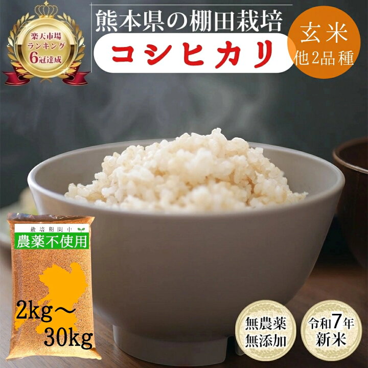 楽天市場】令和7年産 無農薬 玄米 5kg 10kg 30kg 熊本県産 コシヒカリ 