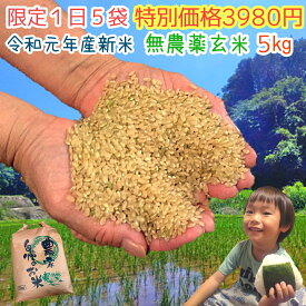 《限定1日5袋》令和元年産 新米 熊本県上益城郡産 無農薬 玄米5kg コシヒカリ イセヒカリ ヒノヒカリ にこまる から選べる☆特別価格3980円☆ 送料無料 無農薬 無化学肥料で栽培
