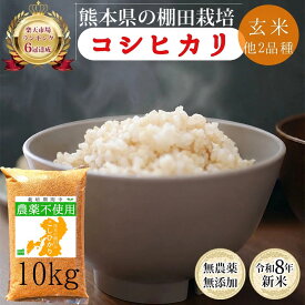 【新米大感謝祭】無農薬 玄米 10kg 新米 コシヒカリ ヒノヒカリ オリジナルブレンド 令和8年産 熊本県産 米 10キロ 九州産 熊本 お米 農薬不使用 オーガニック 有機 有機栽培 健康 お祝い 青玄 若玄米