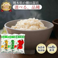無農薬 玄米 5kg コシヒカリ ヒノヒカリ オリジナルブレンド 新米 令和8年産 熊本県産 米 5キロ 九州産 …