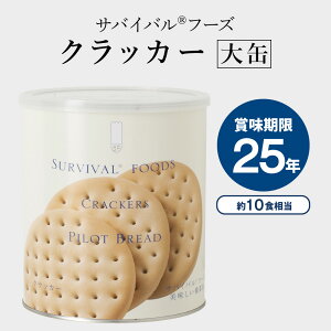 yzToCot[Y []NbJ[×1(10H) ܖ25N̒ۑH t[YhC Y H ~H hЁb̏ȉܖF2051N1