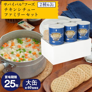 yzToCot[Y []`LV`[̃t@~[Zbg(60H) 6ʋlߍ킹HZbg(NbJ[/V`[) ܖ25N̒ۑH t[YhC Y 