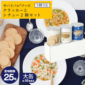 yzToCot[Y []NbJ[ƃV`[2ރZbg(30H) 3ʋlߍ킹HZbg(NbJ[/V`[) ܖ25N̒ۑH t[YhC Y 