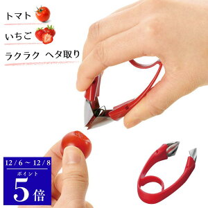 _8܂Ń|Cg5{^txW sR FV-601 H v`g}g  w^ g}gRA[ Lb`c[ ʕ  c XeX |vs y { [֑