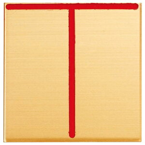 JN} 50p ^JEv[g B50D T \t^Cv 50x50x2mm 1