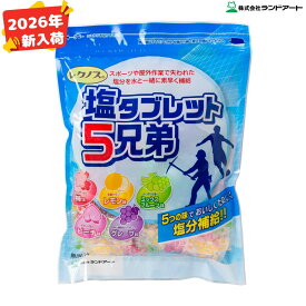 【2026年最新入荷】ランドアート 塩タブレット5兄弟 500g袋入 約185粒 (塩飴 塩アメ 塩あめ 熱中症対策) 【楽天ロジT】