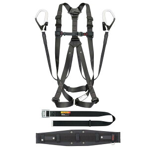 タジマ SEGNES301M セグネス 301 M ランヤード一体型セット Mサイズ フルハーネス型 タイプ1 TAJIMA