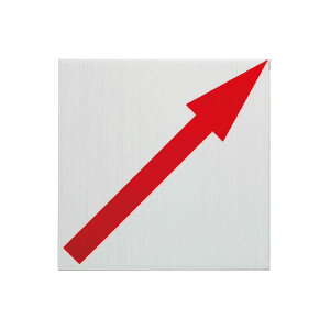 JN} 40p A~Ev[gi2mmj \t^Cvi10j Ζ 40x40x2mm RAP40202