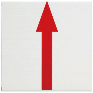 JN} 50p A~Ev[gi2mmj \t^Cvi10j  50x50x2mm RAP50201