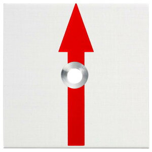 JN} 50p A~Ev[gi2mmj 1^Cvi10j  50x50x2mm AJ[st RAP50211