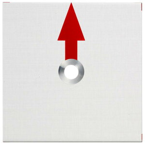 JN} 50p A~Ev[gi2mmj 1^Cvi10j  50x50x2mm AJ[st RAP50214