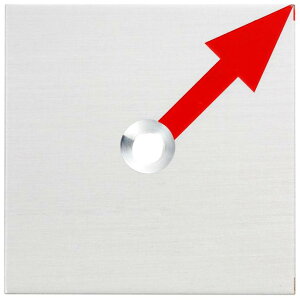 JN} 50p A~Ev[gi2mmj 1^Cvi10j Ζ 50x50x2mm AJ[st RAP50215