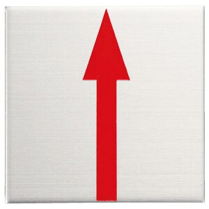 JN} 50p XeXEv[gi2mmj \t^Cvi10j  50x50x2mm S50A