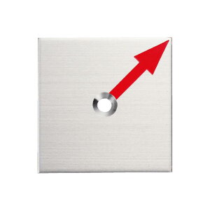 カクマル 40角 ステンレス製境界プレート(2mm厚) 1穴タイプ(10枚入) 半斜矢 40x40x2mm アンカーピン付き S40H1