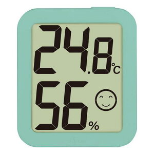 シンワ測定 73249 デジタル温湿度計 環境チェッカー ミント