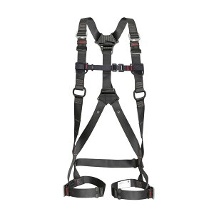 TAJIMA ^W} SEGn[lX ZS d AZSS-BK  STCY X`[obN [VKiΉ tn[lX^ [hʔ]