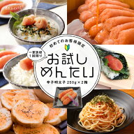 博多ふくいち 辛子明太子 お試し明太 切れ子 250g×2箱 初回ネット限定 1回限り 3セット迄 送料無料】冷…