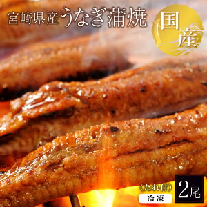 Ȃ 2Zbg t 1180`200gO zⓀ {茧Y Y V EiM  Ε  ̓ ̓ hV̓ Mtg j Ԃ i v[g yp̉N̓