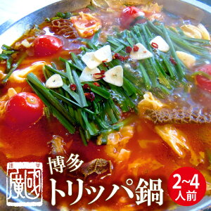 dancyuAV[C`A͂Ȃ܂}[Pbgł^IIc@g}gƂ́@gbp@2`3lOAZbg 甭˂̐̕V@g}gƘâ