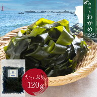 【期間限定ポイント20倍】カット わかめ Mサイズ 120g ジップ付き袋入り 韓国産 乾燥わかめ 大容量 乾燥 …