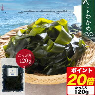 ＼期間限定 ポイント20倍／ カット わかめ Mサイズ 120g ジップ付き袋入り 韓国産 乾燥わかめ 大容量 乾…