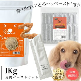 無添加 ドッグフード ＆ ペースト16本セット ｜ ぺろっと元気ごはん1kg ＋ 馬肉 ＆ MCTオイル 16本入り 健康おやつ 博多ドッグス公式 ｜ 涙やけ 目やに におい 毛並み 小型犬 中型犬 成犬 シニア