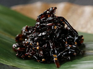 Y@̍z 1kg Ɩp h erŏЉ܂ т̂ ώ ۑH H