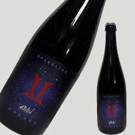 赤武 AKABU SPARKLING GALAXY 750ml