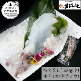 楽天市場 ヤリイカ 刺身の通販