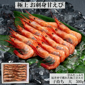 䉫Ŋlꂽ hgp ÊCV q 