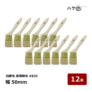 nPs  ؖ p #835 20 50mm 12{b nP pr nP ͂ ؕ \  p h