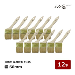 nPs  ؖ p #835 25 60mm 12{b nP pr nP ͂ ؕ \  p h