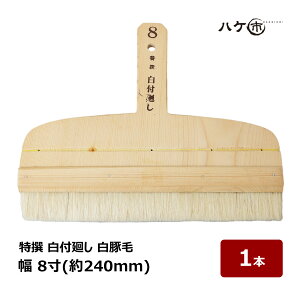   t ؖ 8  240mm 1{ b nPs ͂ nP h F \  ǎ {   